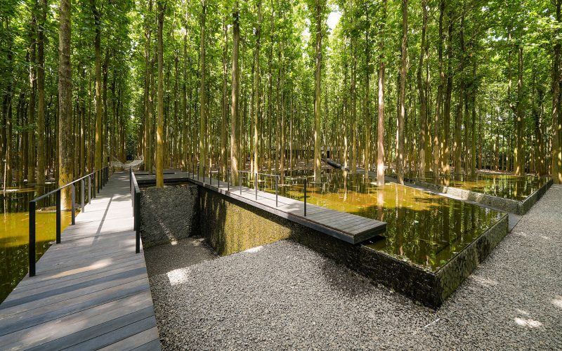 Reflection Pond Omah Jati Anyer