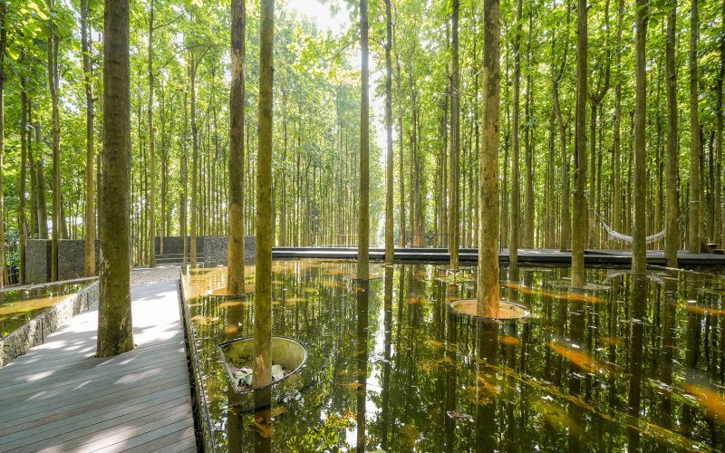 Reflection Pond Omah Jati Anyer